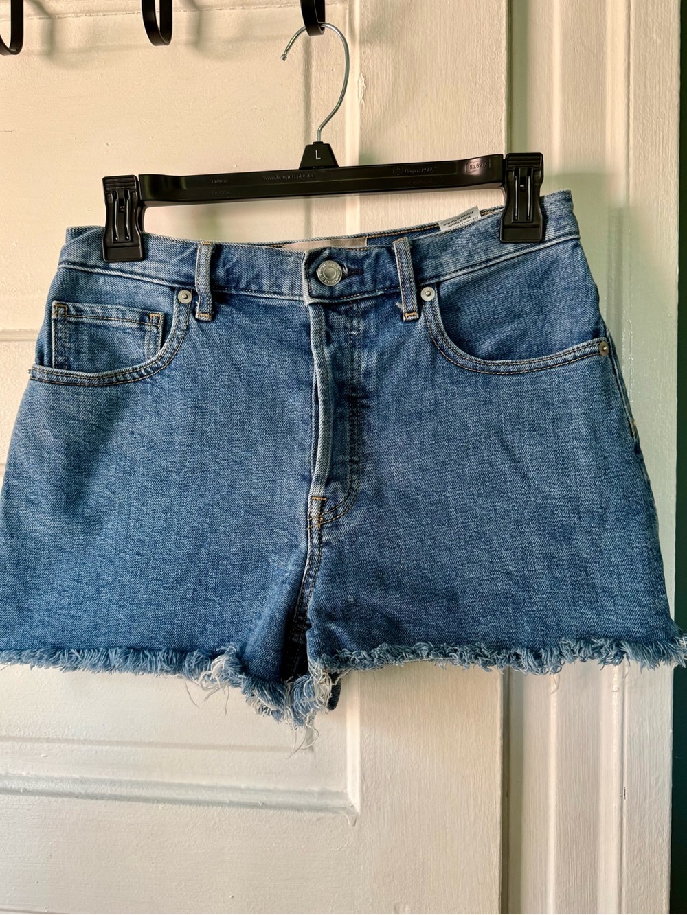 Everlane Cheeky Shorts High-Rise Frayed Denim